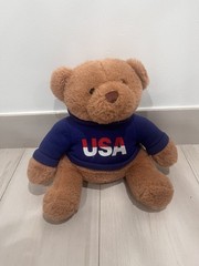 Dan Dee USA Teddy Bear Plush Patriotic Hoodie Stuffed Animal 10” Gift Toy
