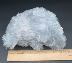 GOFFA Plush Small Gray Baby Koala Bear 7″ Fuzzy Lightweight