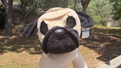 Stuffed Pug Large 28” Toy Factory Dog Plush Floppy Super Cute Clean Beige Black