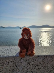 Punch Monkey – IKEA DJUNGELSKOG – 2 Soft Toys – Plush Duo Set – BIG & MINI