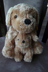 Kohls Cares Golden Retriever Dog w/Puppy Plush 11″ New With Tag