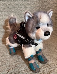 New Sasha Husky Plush Collectible Douglas Cuddle Essa Dog With Gear