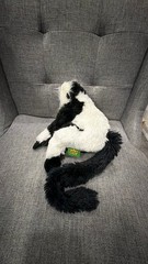 Central Park Zoo Black and White Ruffed Lemur Plush