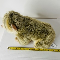Vintage Lelly Slow Loris 10” Plush Realistic Stuffed National Geographic RARE