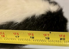 Rare Vintage Fluffy N Floppy 20” Plush Skunk Woodsy Animal Cuddle Buddy Pillow