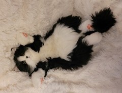 Chongker Realistic Black White Fluffy Cat Plush Stuffed Animal Yellow Eyes Bag