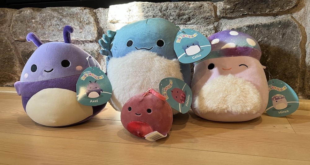 Squishmallow Beetle, Bearded Dragon, Mushroom LOT: 8” Cella Axel Minya Poleena