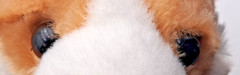 ADORE Plush Realistic Pemborke CORGI Puppy Stuffed Animal 10″x5″x8″ Read RARE