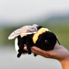 Soft Insect Plush Toy, Stuffed Bee Animal Doll,Cute Honeybee Plush Doll,17Cm (Be