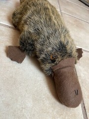 Australian Toys By Windmill Platypus Plush 17″ MADE IN AUSTRALIA