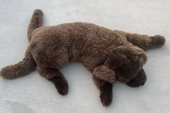 Chocolate Labrador Retriever Plush 44″ Pillow Plow & Hearth Cuddle Dog Realistic