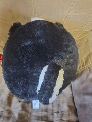 Fuzz a mallow by Squishmallows Skunk Selam, Black and white, looks new.