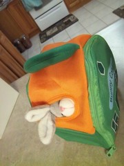 New – Etna Bunny Condo 5-Piece Plush Play Set – Soft Squeaking Bunnies Rabbits