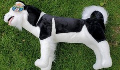 Siberian Husky Dog Plush Black & White Realistic Life Size 30” By Melissa & Doug