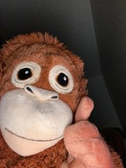 Punch Monkey – IKEA DJUNGELSKOG – 2 Soft Toys – Plush Duo Set – BIG & MINI