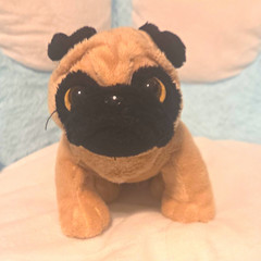 Webkinz Pug Dog Plush Stuffed Animal – Beige Black Washable 2008 *NO CODE*