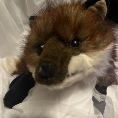 DITZ Designs RED FOX Hugs Hen House 26” Plush Retired Stuffed Animal Rare W/Tag