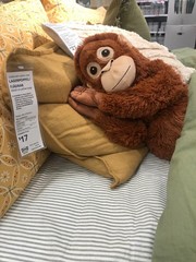 Punch Monkey – IKEA DJUNGELSKOG – 2 Soft Toys – Plush Duo Set – BIG & MINI