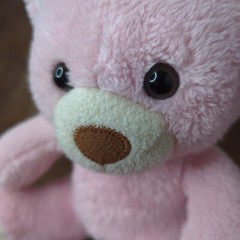 Animal Adventure Pink White Bear Plush 2012 Lovey 8″ Brown Nose