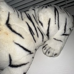 #Z19- Great American white tiger plush toy, soft stuffed animal, made in China