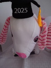 Dollar General 2025 Pink Graduation Autograph Dog Plush With Autograph Pen