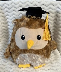 2026 Graduation Plush 8″ Brown Owl Congrats Grad Cap American Greetings – NWT
