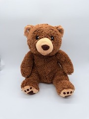 Kohl’s Cares Little Critter Brown Bear Plush Stuffed Animal Toy 11” 2013