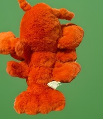Hug a Lumps Small 1.65 lbs Lenny the Lobster Weighted Plush~Soft Stuffed Animal