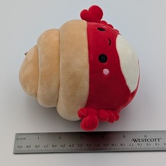 Squishmallow Indie Hermit Crab 6 Inch Plush Soft Cute Sealife Crustacean Toy