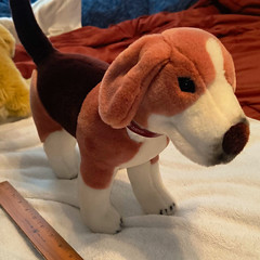 American Kennel Club AKC Plush Stuffed Dog Small Washable Brown/White/Black