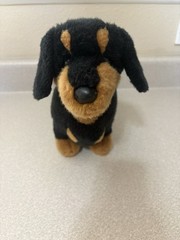 Douglas Cuddle Toys Spats the Black & Tan Dachshund Dog # 2002 Stuffed Animal.