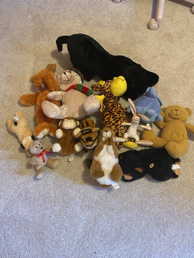 Random Lot Of Stuffed Animals. 13 Medium To Small.