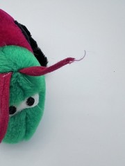lady bug stuffed animal