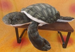 Fiesta 14″ Sea Turtle Ocean Life Green Black Plush Stuffed Animal A40883