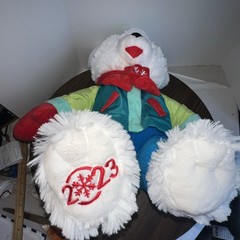 Holiday Time SNOWFLAKE SKI TEDDY BEAR Boy Plush Christmas 2023 20” MTY Intern.