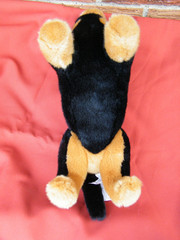 NWT Douglas Cuddle Toys Spats Black & Tan Dachshund Dog #2002 4 tags 2020 date
