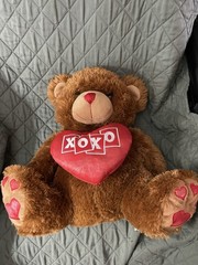 Teddy Bear Stuffed 17″ Brown with Heart XOXO Heart on Feet Pre-owned