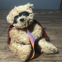 American Greeting Halloween Bear Puppet Greeting Card Holder 6” Soft Plush