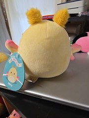 Original Squishmallows Miry The Butterfly NWT 6″ S5 #1680 4-12-22 Plush