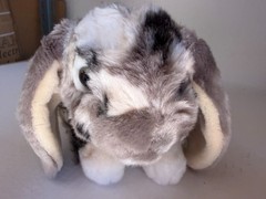 Living Nature Bunny Rabbit Mottled Gray White Lop Eared Realistic Plush Cute!