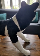 Siberian Husky Dog Plush Realistic Life Size 30” By Melissa & Doug Black White