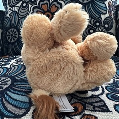 Cuddle Barn Lucas The Lion Singing Plush Wild Thing w/ Tags Tested