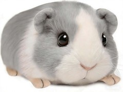 Guinea Pig Stuffed Animal, Cute Guinea Pig Plush for Kids, Realistic Stuffed Ani