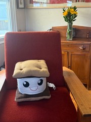 RARE Land of Nod (Formerly Crate & Barrel) Large ‘Smores Plush | Limited Edition