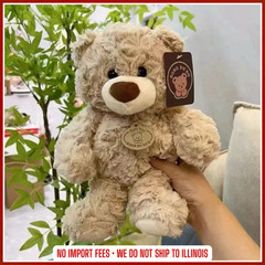 25CM Bear Plush Toy Hug Bear Dolls Children Birthday Gift Pillow Teddy Bear Home