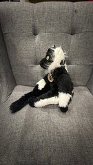 Central Park Zoo Black and White Ruffed Lemur Plush