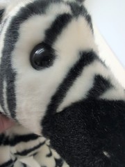 WWF Oasi Trudi Zebra Plush Stuffed Animal 11″ Made In Indonesia