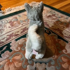 VTG Douglas Cuddle Toys Mini Classics Husky Plush Retired Late 90s Rare China