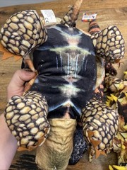 Gila Monster Bearded Dragon Tortoise, Stuffed Animal Lot, 21 Inch, Plush Toy