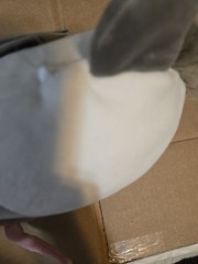 Squishmallows 7.5” – 8″ Luanne NWT Opossum Gray White Plush NEW Pink Tail